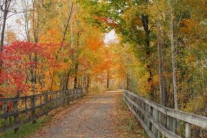 9 fall activities to foster a love of the environment in gwinnett