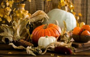 Three Easy Breezy Ways to Bring the Outdoors In This Fall